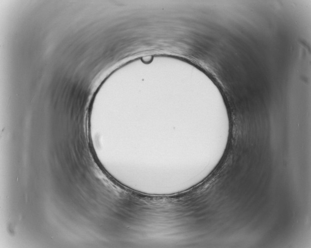 X0000101671516200807311446