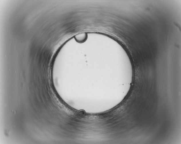 X0000101671517200807311446