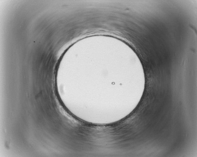 X0000101671518200807311446