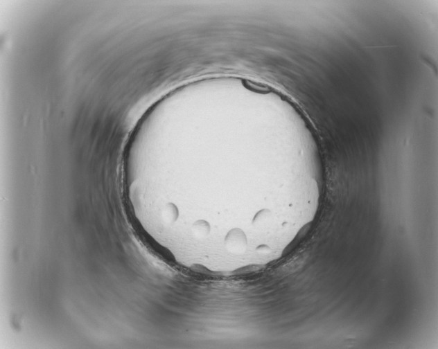 X0000101671519200807311446