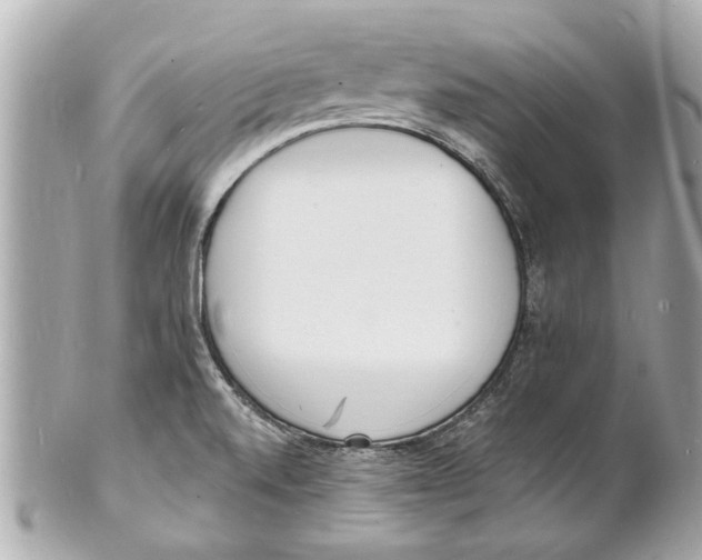 X0000101671520200807311446