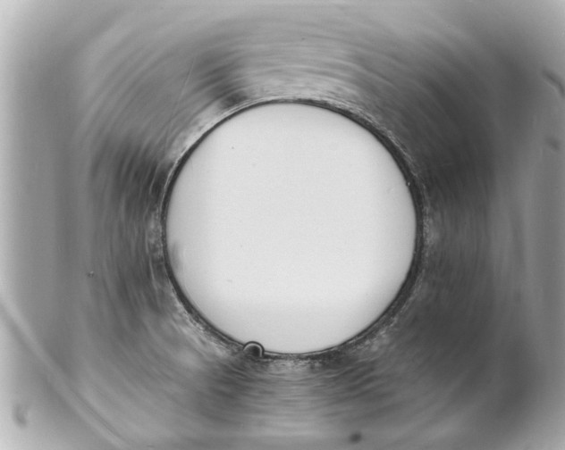 X0000101671521200807311446