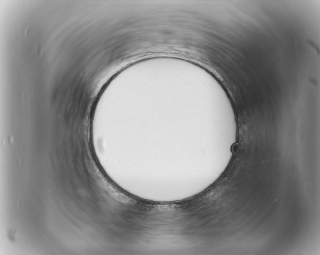X0000101671523200807311446