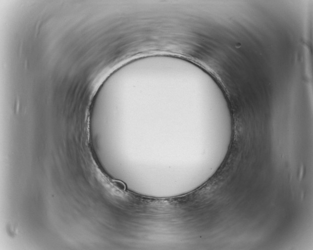 X0000101671524200807311446