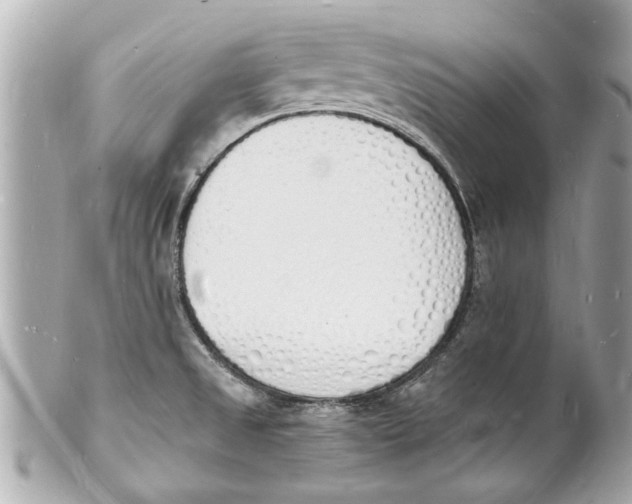 X0000101671525200807311446