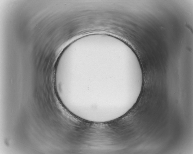 X0000101671526200807311446