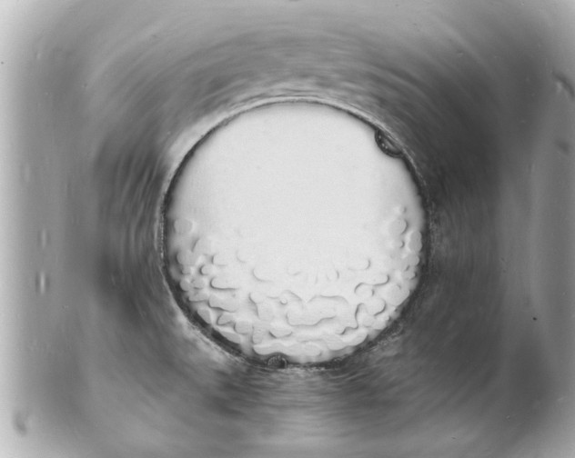 X0000101671527200807311446