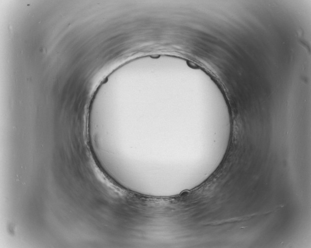 X0000101671528200807311446