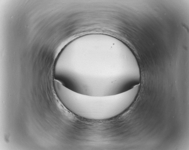X0000101671530200807311446