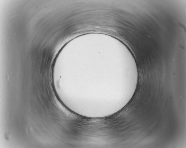 X0000101671531200807311446