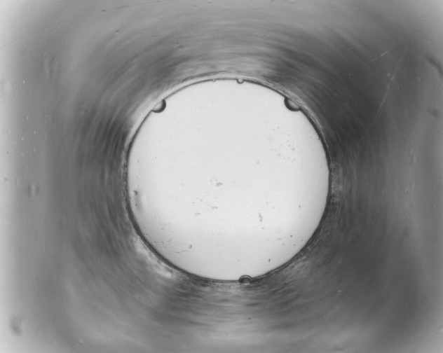 X0000101671532200807311446