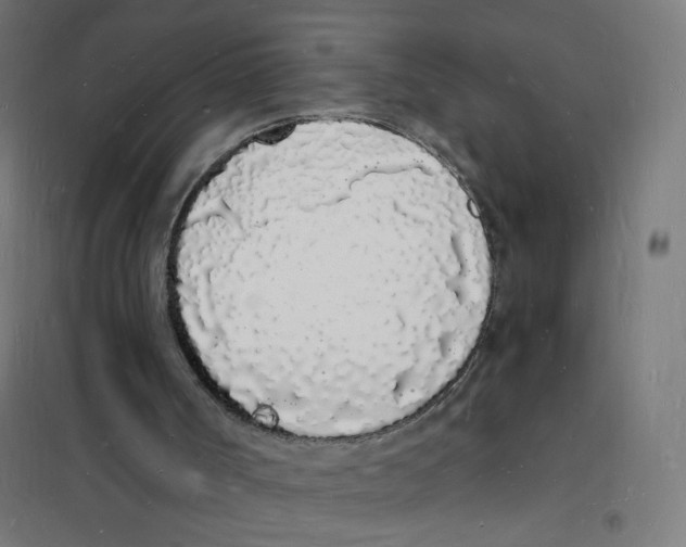 X0000101670002200808071056