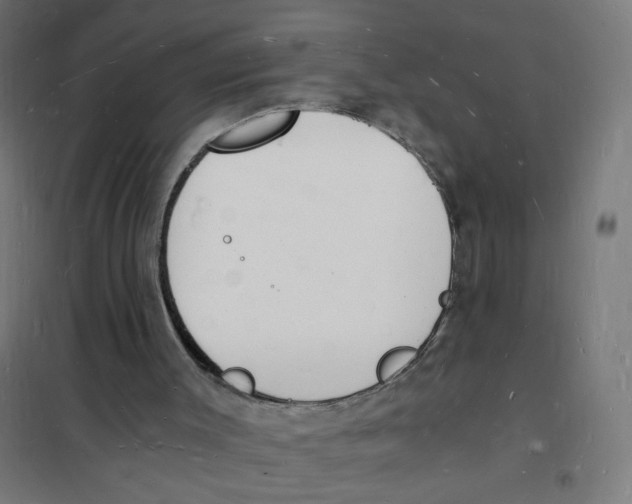 X0000101670003200808071056