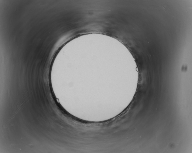X0000101670004200808071056