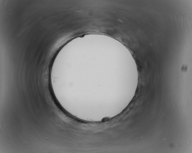 X0000101670005200808071055