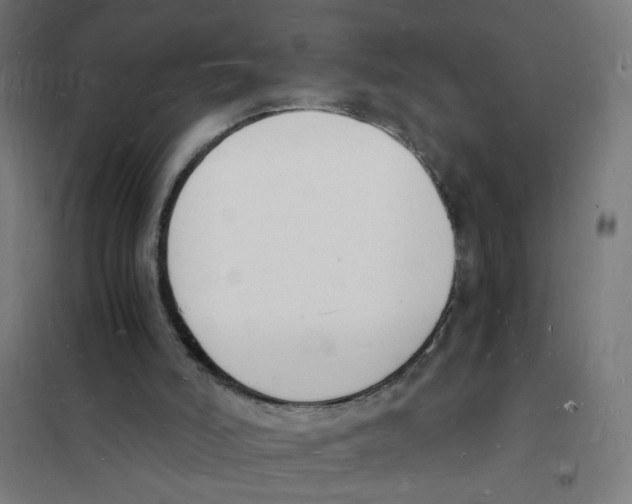 X0000101670006200808071055