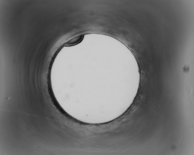 X0000101670007200808071055
