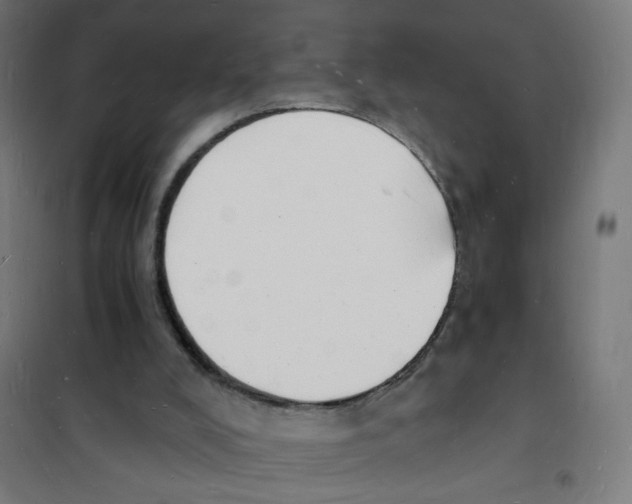 X0000101670008200808071055