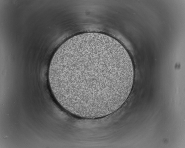 X0000101670009200808071055