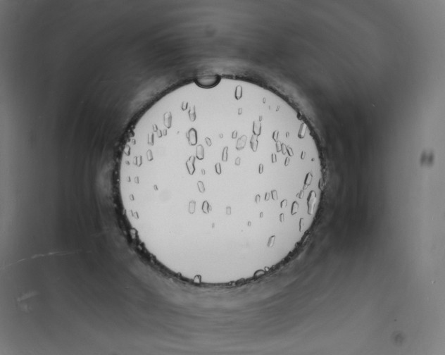 X0000101670010200808071055