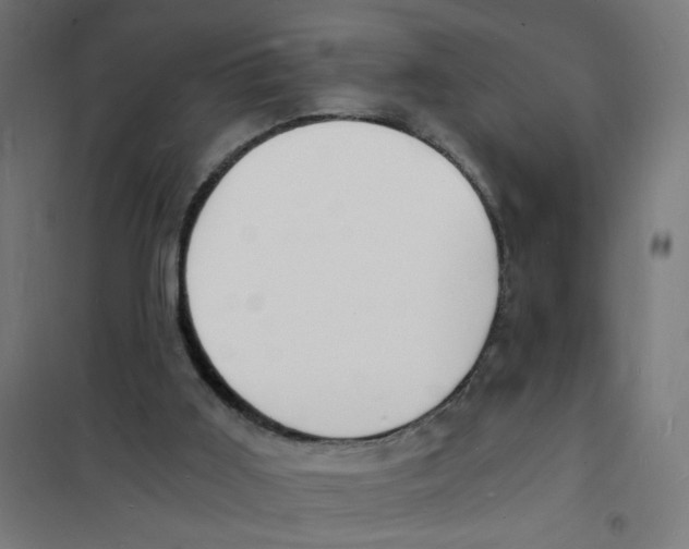X0000101670011200808071055