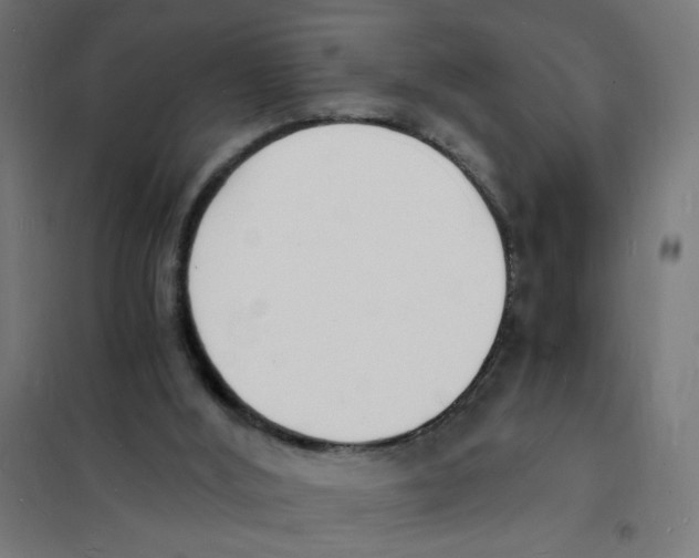 X0000101670012200808071055