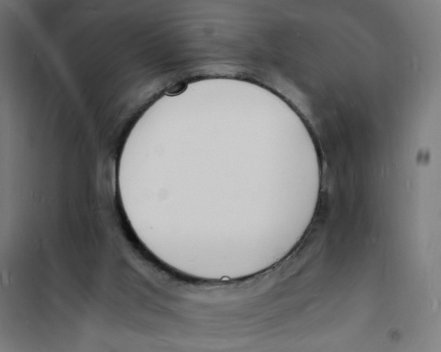 X0000101670013200808071055