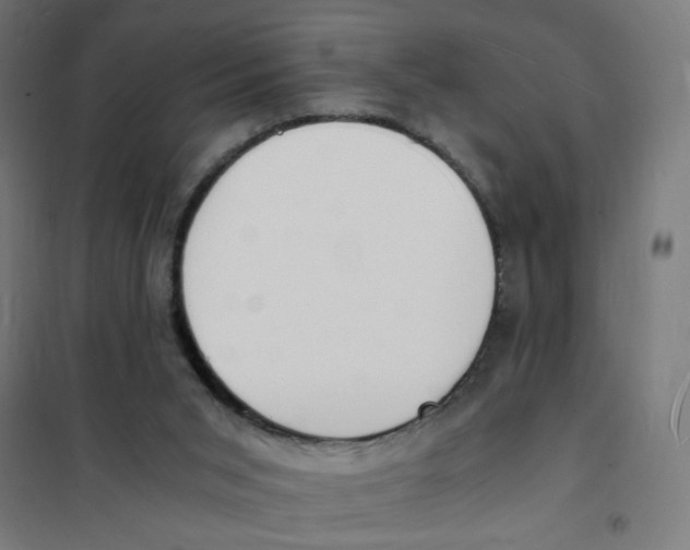 X0000101670015200808071055