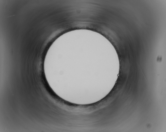 X0000101670016200808071055