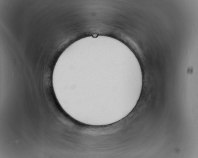X0000101670017200808071055