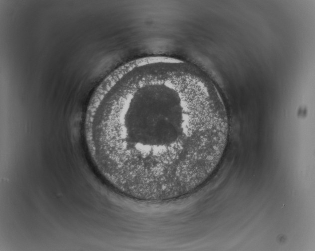 X0000101670018200808071055