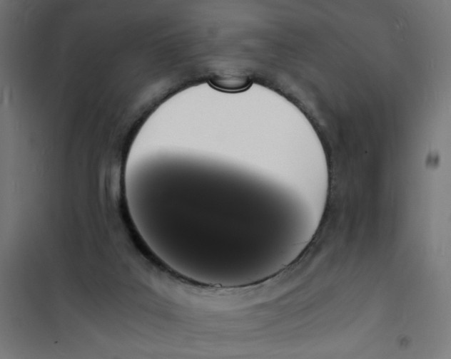 X0000101670019200808071055