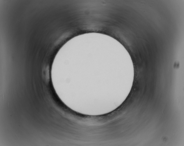 X0000101670020200808071055
