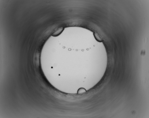 X0000101670022200808071055