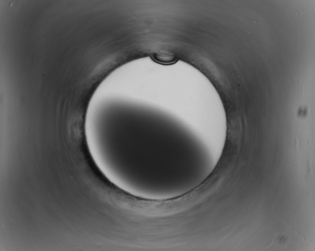 X0000101670023200808071055