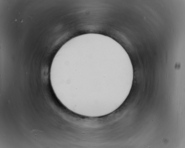 X0000101670024200808071055