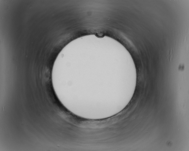 X0000101670025200808071055