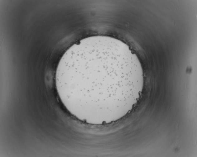 X0000101670026200808071055