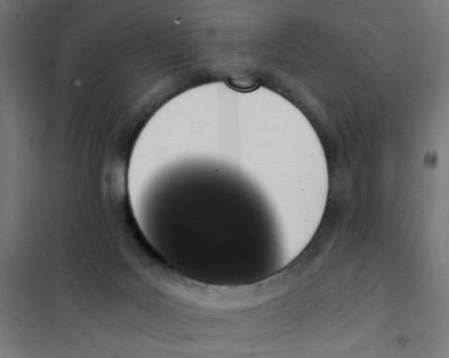 X0000101670027200808071055