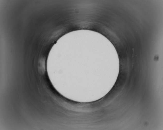 X0000101670028200808071055