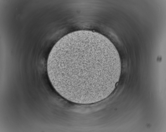 X0000101670029200808071055