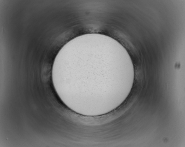 X0000101670030200808071055