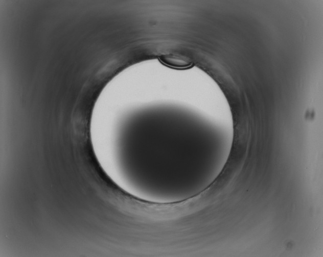 X0000101670031200808071055
