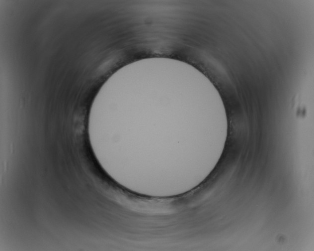 X0000101670032200808071055
