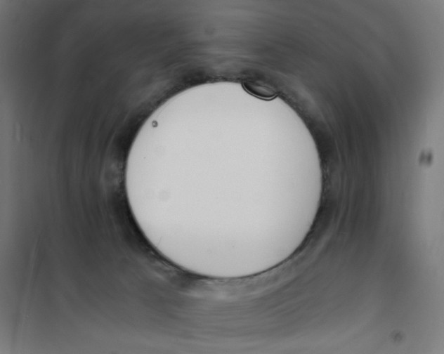 X0000101670033200808071055