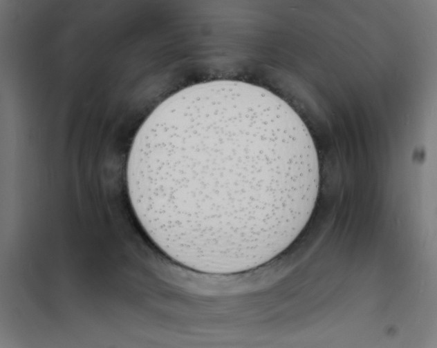 X0000101670034200808071055