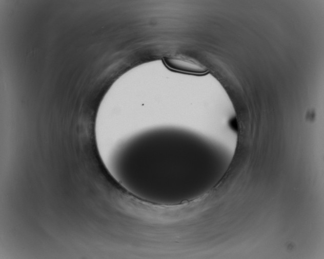 X0000101670035200808071055