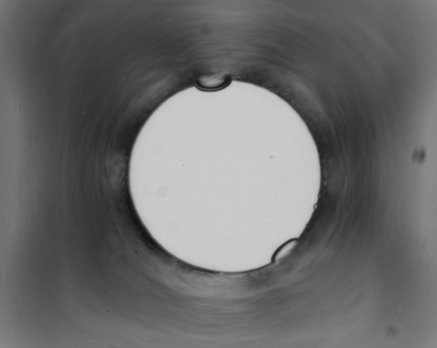 X0000101670036200808071055