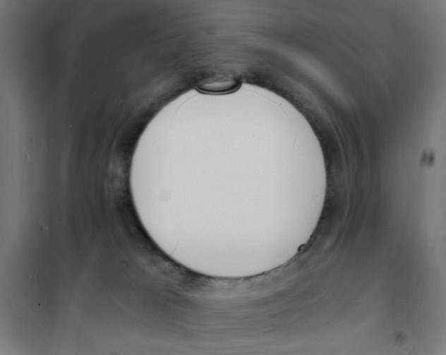 X0000101670037200808071055