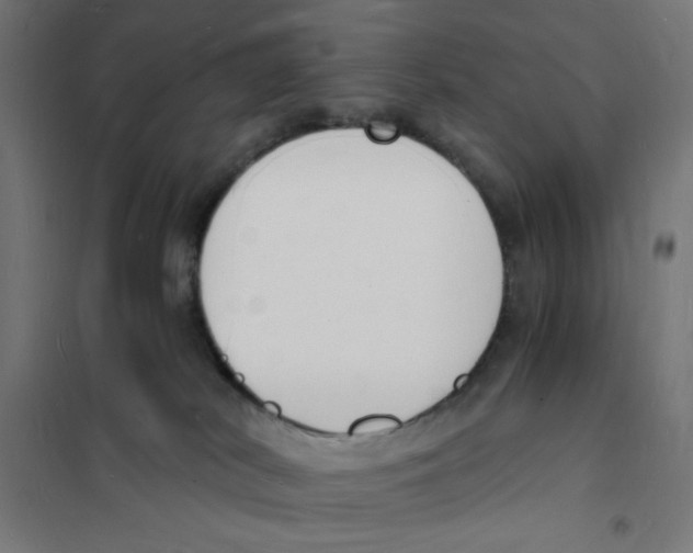 X0000101670038200808071055